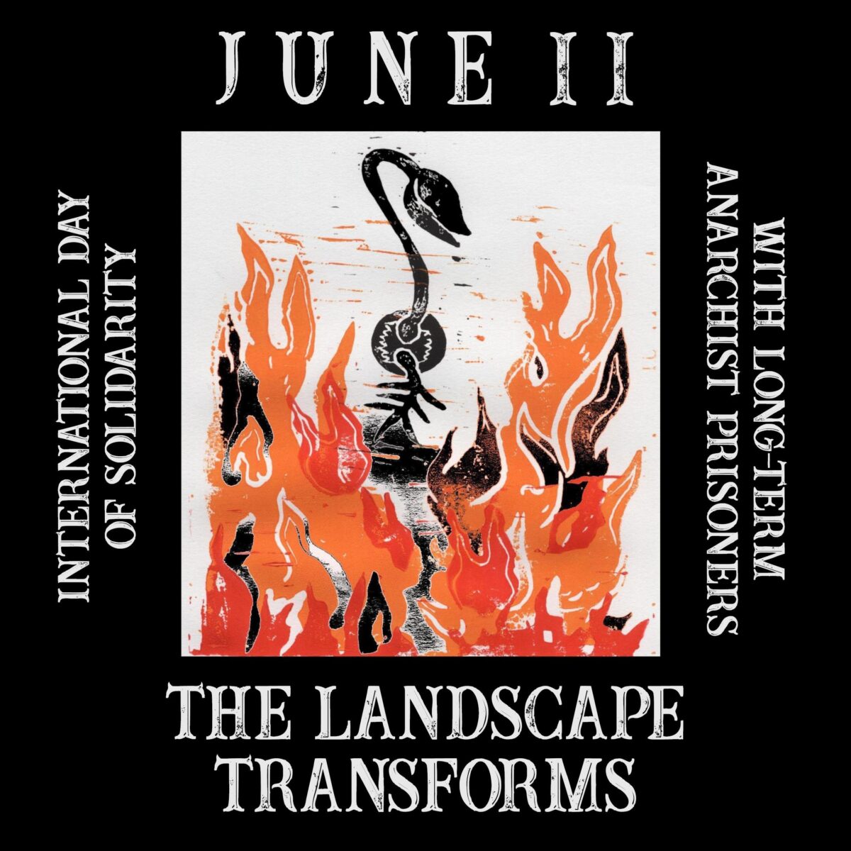 June 11, 2025: The Landscape Tranforms